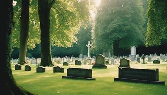 Die Herausforderungen und Kosten von Beerdigungen in Deutschland Die Herausforderungen und Kosten von Beerdigungen in Deutschland