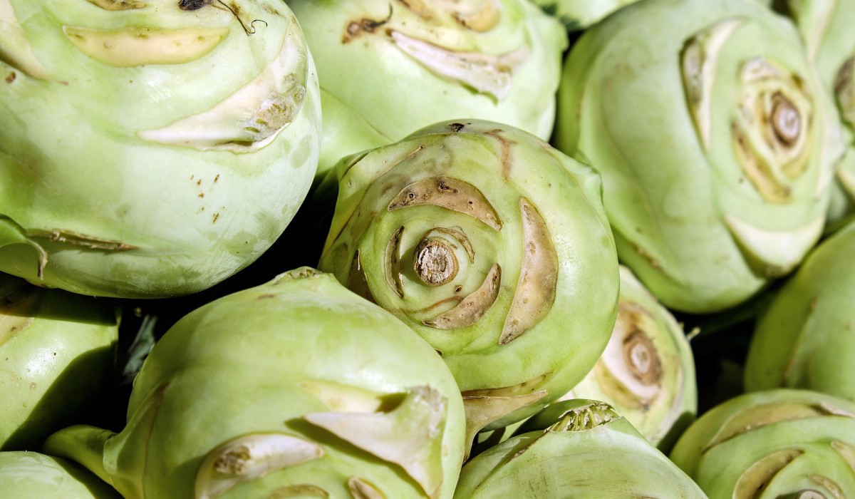 Groningen Markttage 2023: Rückblick auf Highlights, Veranstaltungsorte und Besucherzahlen