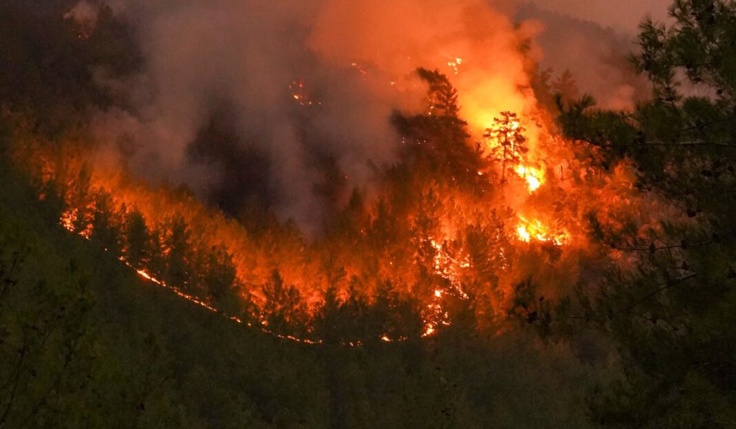 Höchste Waldbrandwarnstufe: Grillverbot auf städtischen Flächen bleibt bestehen Höchste Waldbrandwarnstufe: Grillverbot auf städtischen Flächen bleibt bestehen