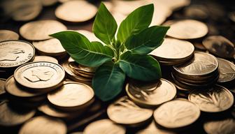 Investieren in Private-Equity-Fonds: Chancen und Risiken für Kleinanleger Investieren in Private-Equity-Fonds: Chancen und Risiken für Kleinanleger