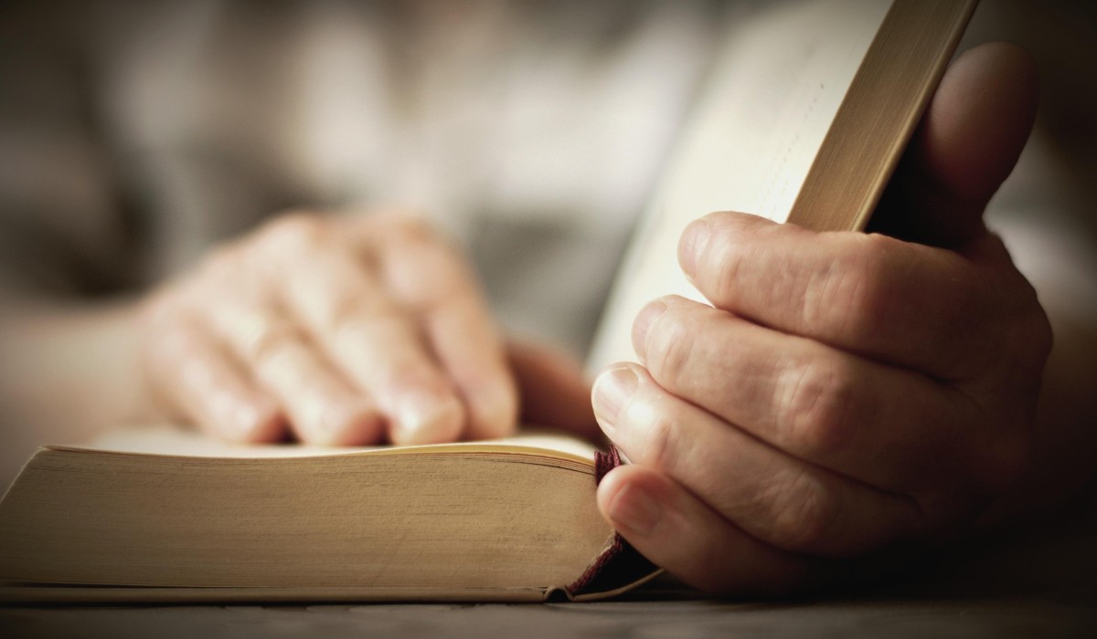 Vorlesemonat in der Kindergartenburg: Nächte, Burgbesuch und Gastlesung fördern Sprachbildung Vorlesemonat in der Kindergartenburg: Nächte, Burgbesuch und Gastlesung fördern Sprachbildung