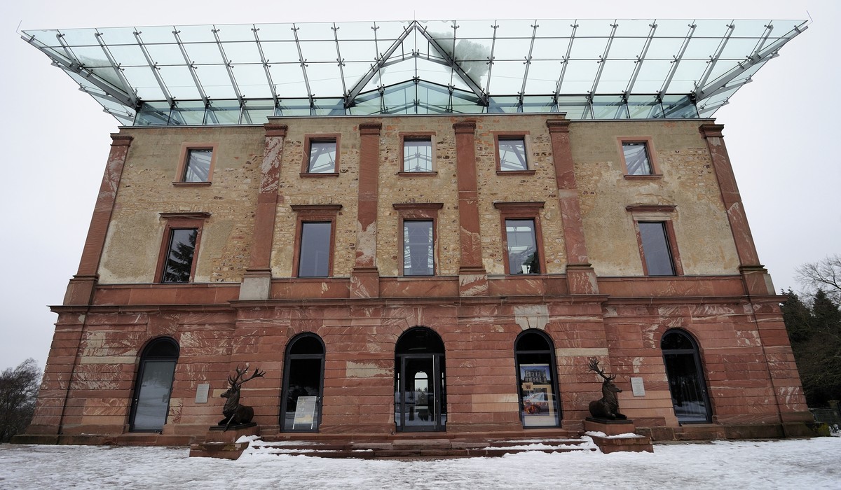 Zertifizierte Nordmanntannen im Stadtwald zum Selbstschlagen am 13. Dezember Zertifizierte Nordmanntannen im Stadtwald zum Selbstschlagen am 13. Dezember